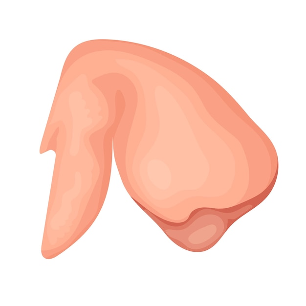meat product raw chicken wing in vector format elements are isolated