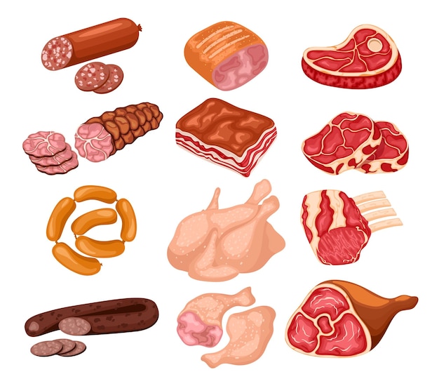 Vector meat products set. foods consist, contain pork, beef, lamb or chicken, animal product