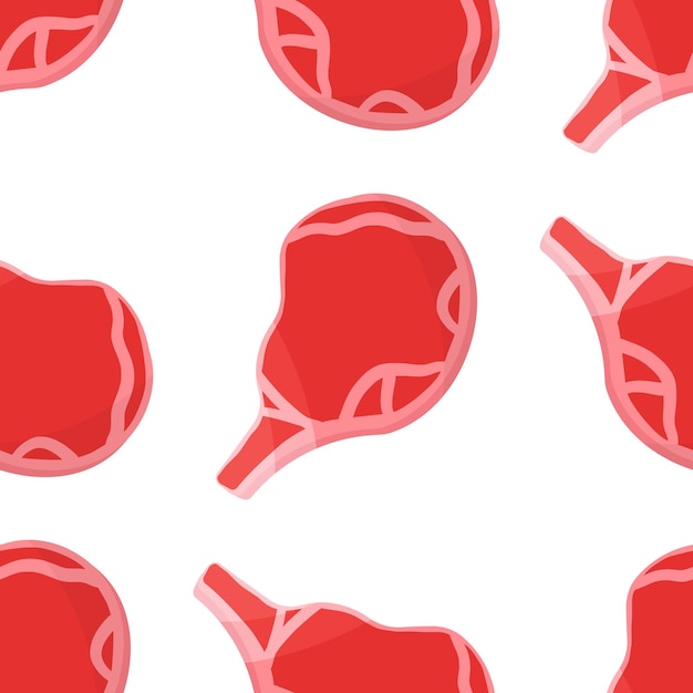 Vector meat raw fresh red steak bone pattern