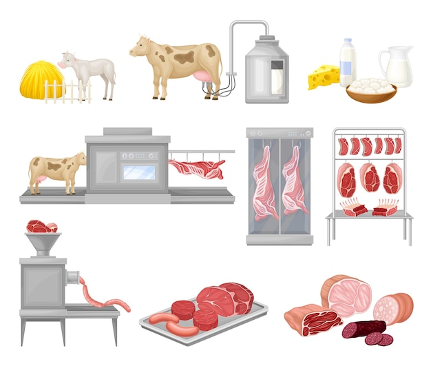 Vector meat and sausage products automated factory production line process vector set