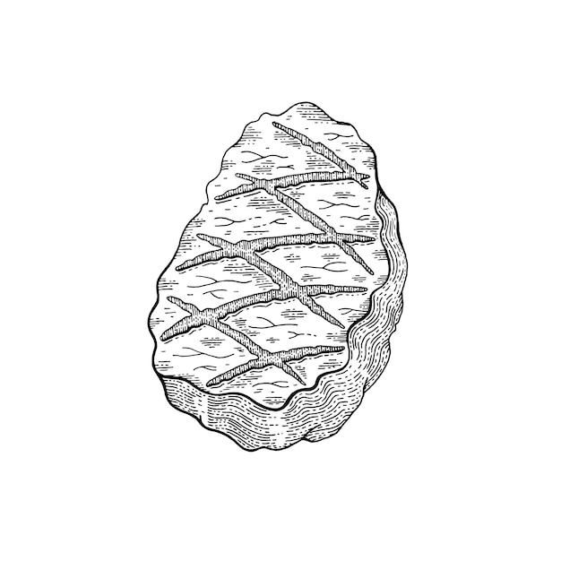 Мясной стейк Эскиз значок со стейком из говядины, свинины, ягненка или телятины, барбекю, гриль, пищевая графика
