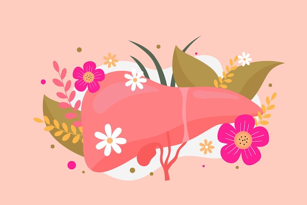 Medical health theme liver illustration design