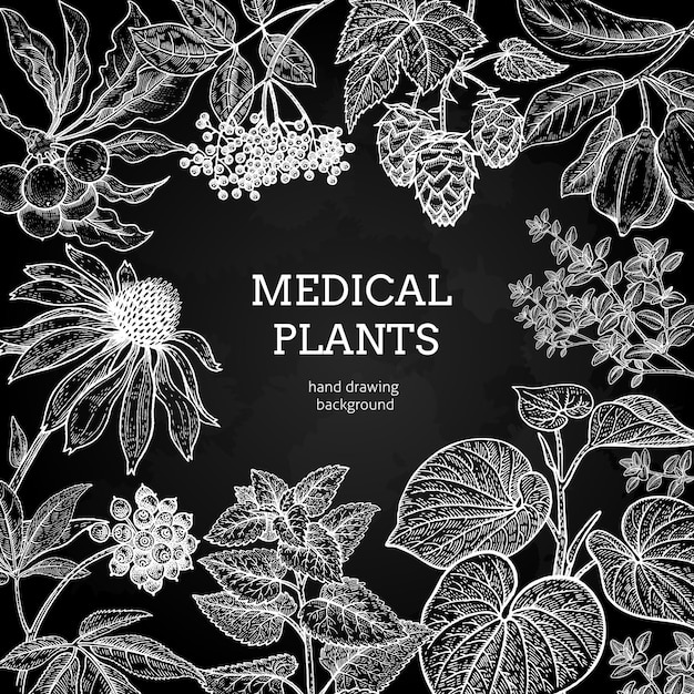 Vector medical herbs and plants black and white card