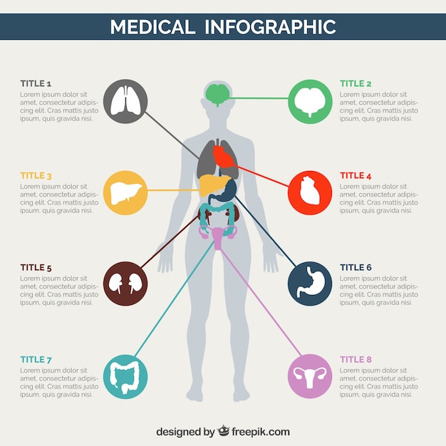 Medical infography of human body