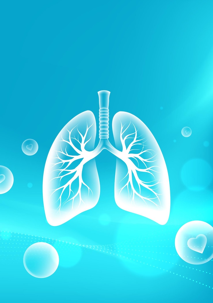 Vector medical theme vertical illustration of transparent lungs on abstract background