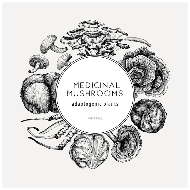 Vector medicinal mushroom illustrations wreath