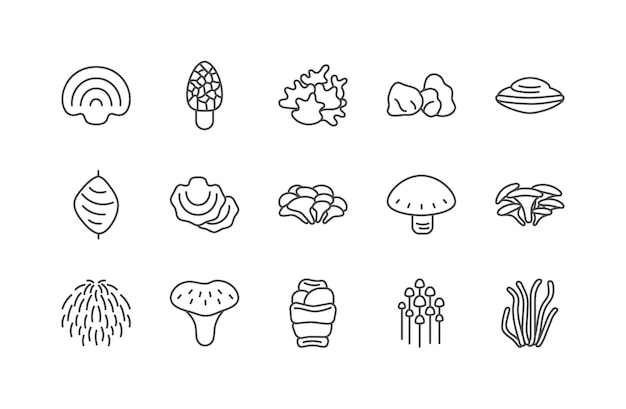 Vector medicinal mushroom line icon set different types of mushroom vector illustration