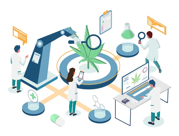 Medische marihuana plant lab onderzoek isometrische stroomdiagram platte vectorillustratie