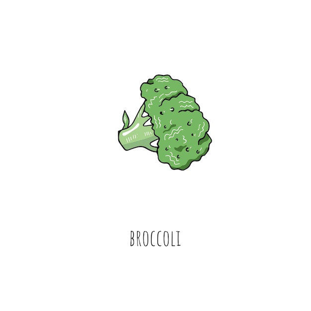 Mediterrane dieetvoeding schets broccoli bloeiwijze geïsoleerd op een witte achtergrond