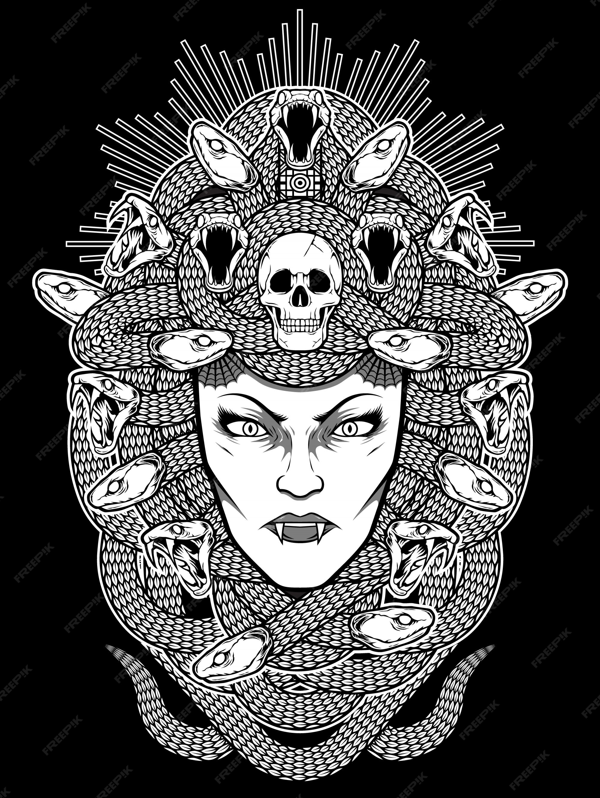 Medusa illustration