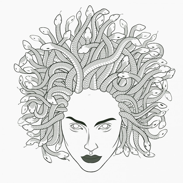 Medusa head illustration. Hand drawn.