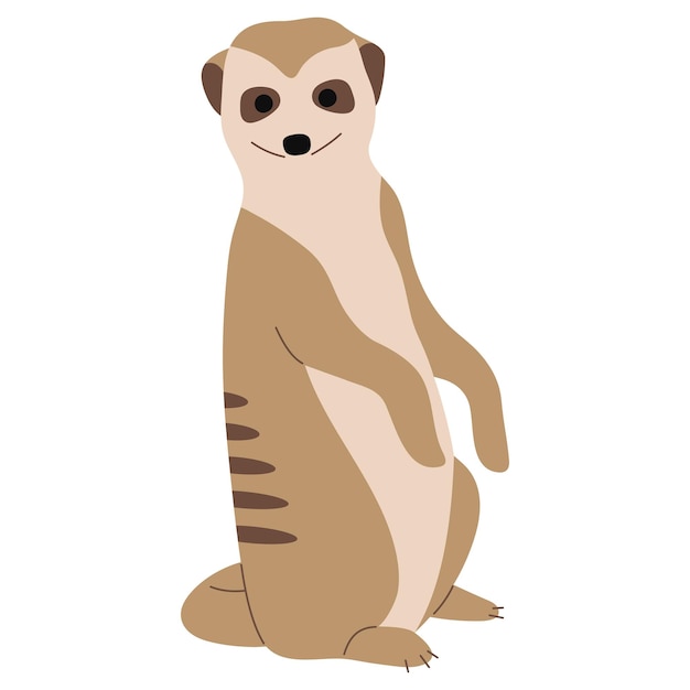 Vector meerkat 18