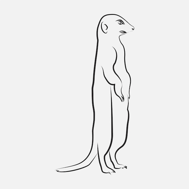 Meerkat animal line art