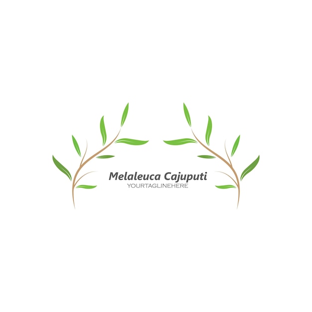 Melaleuca cajuputi 잎 아이콘 벡터 일러스트 디자인