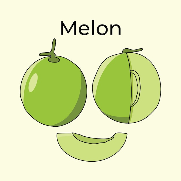 Vector meloen fruit illustratie vector