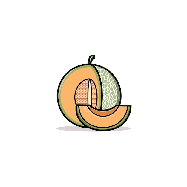 Vector melon flat icon design logo