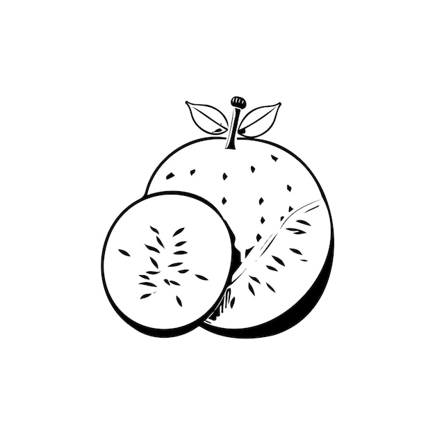 Melon Icon hand draw black colour thanksgiving fruit logo vector element and symbol perfect