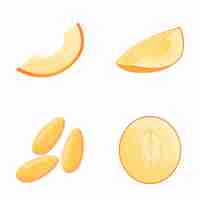 Vector melon icons set cartoon vector fresh ripe melon vegetable healthy nutrition