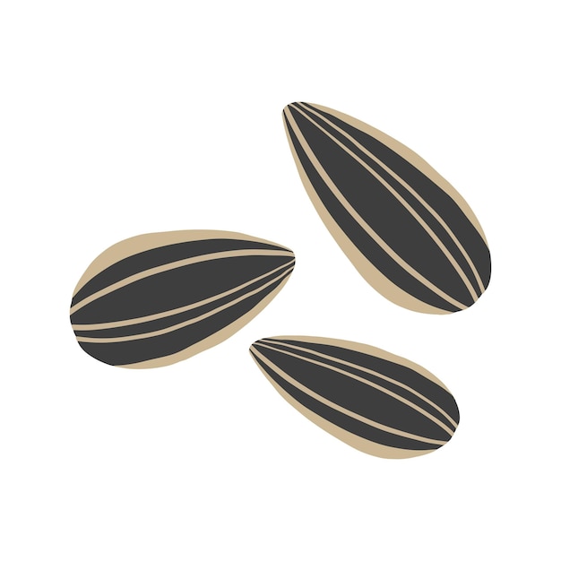 Vector melon seeds illustration vector