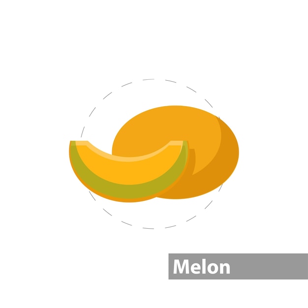 Melon vector flat illustration icon