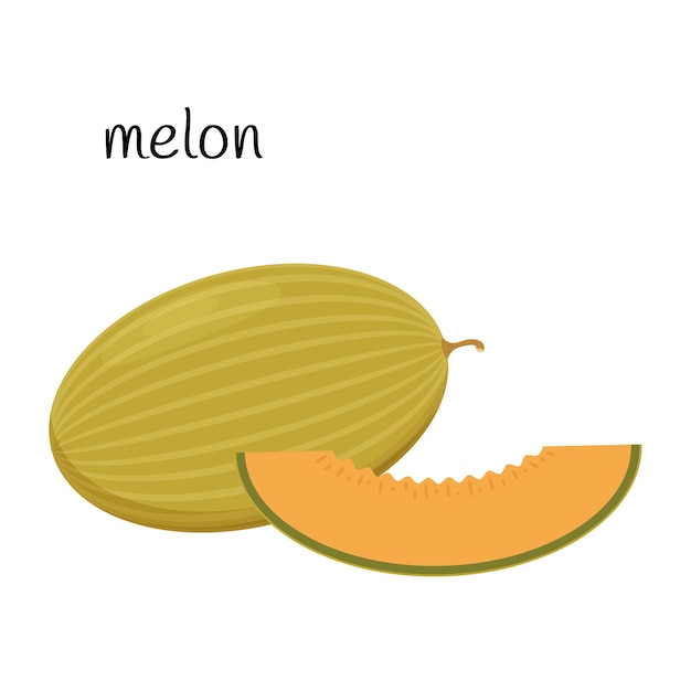 Melon whole and cut off a slice of fruit, berry. Flat design.