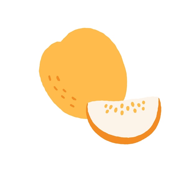 Melon, whole yellow fruit and cut piece. Cantaloupe drawn in doodle style. Fresh exotic summer nutrition. Ripe sweet muskmelon, slice with seeds. Flat vector illustration isolated on white background.