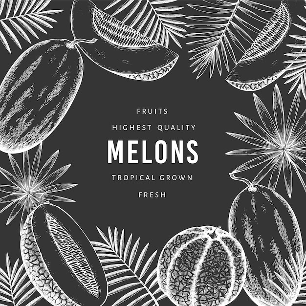 Melons with tropical leaves. Hand drawn exotic fruit on chalk board. Retro style fruit background.