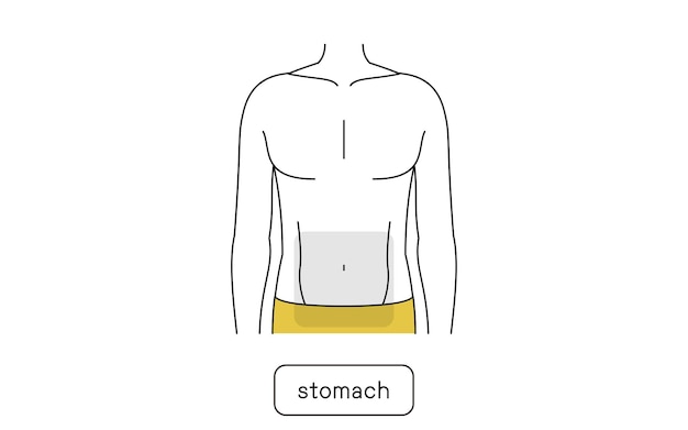 Men's hair removal area entire abdomen