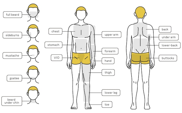 メンズ脱毛全身前後・顔周りガイド下着