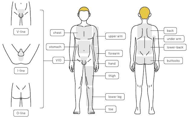 Vettore depilazione maschile per tutto il corpo davanti e dietro e guida per l'area vio nude