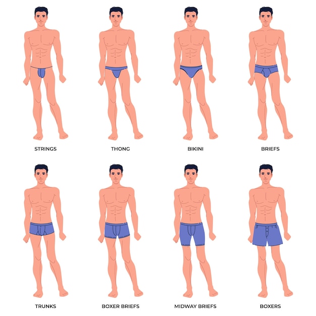 men underwear on body set different types male underpants popular models presentation front view everyday clothes elements strings thong and bikini briefs and boxers vector concept