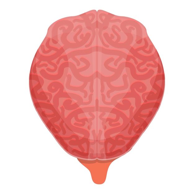 Menselijk brein macht pictogram Cartoon van menselijk brein macht vector pictogram voor webdesign geïsoleerd op een witte achtergrond
