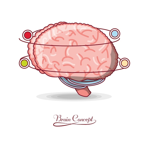 Vector menselijk brein met kleurrijke stippen