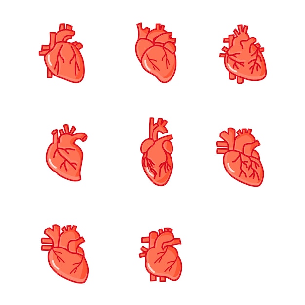 Menselijk hart gezondheid vector decorontwerp