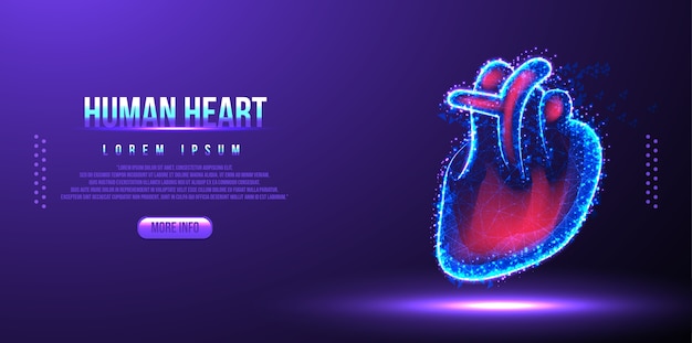 Menselijk hart laag poly draadframe
