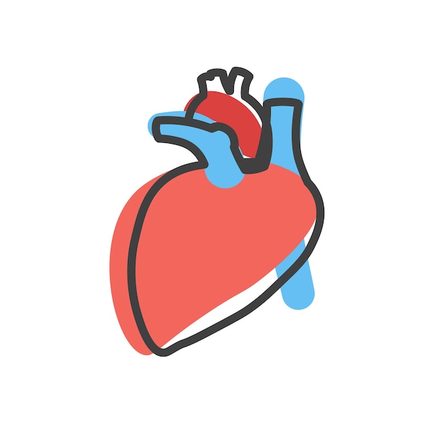 Menselijk hart lineair pictogram Inwendig orgaan Cardiologie concept Vectorillustratie