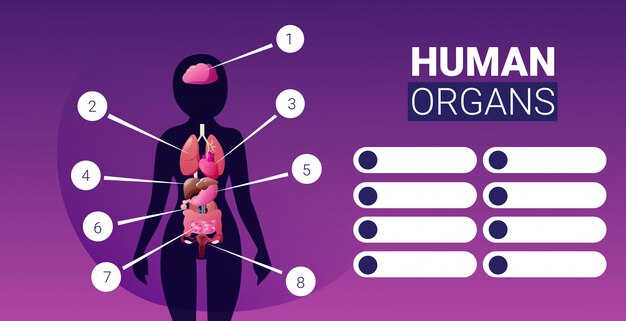 Menselijk lichaam structuur infographic poster met vrouwelijke interne organen pictogrammen anatomie systeembord portret horizontaal