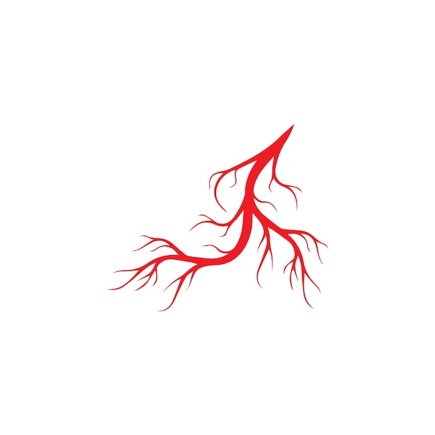 Menselijke aderen rode bloedvaten ontwerp en slagaders Vector illustratie geïsoleerd