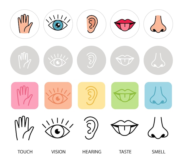 Menselijke gevoelens Vijf zintuigen vector illustratie Lippen hand neus oog en oor iconen Geur aanraking gehoor sensorische en smaak zintuigen pictogrammen