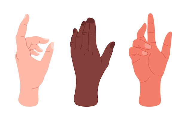 Menselijke handen gebaren Palmen met elegant gebaar mannelijke of vrouwelijke handen tonen presenteren en wijzen platte vector illustratie set
