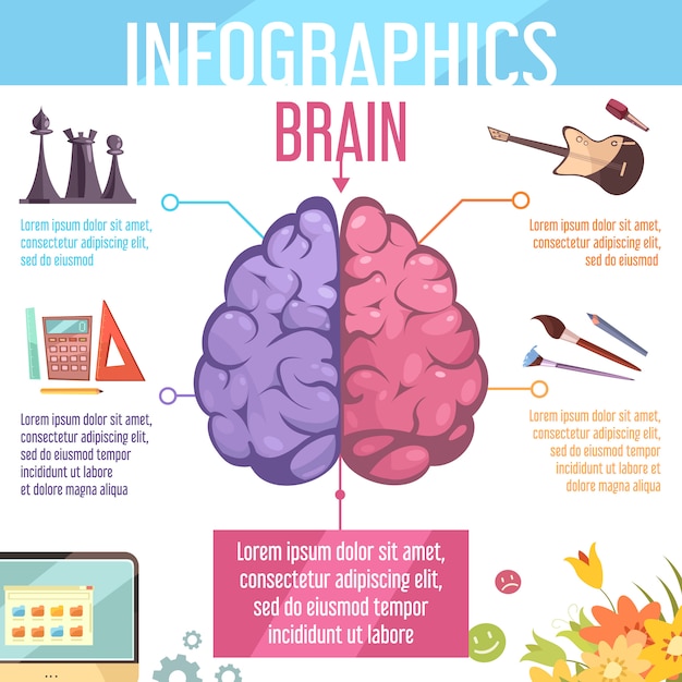 Menselijke hersenen links en rechts hersenhelften functies infographic retro cartoon onderwijs leren hulp poster vectorillustratie