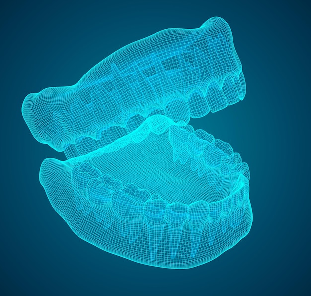 Vector menselijke kaak 3d vector lay-out geneeskunde en gezondheid