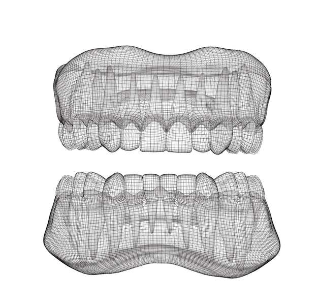 Menselijke kaak 3d vector lay-out geneeskunde en gezondheid