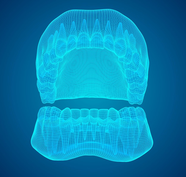 Vector menselijke kaak 3d vector lay-out geneeskunde en gezondheid