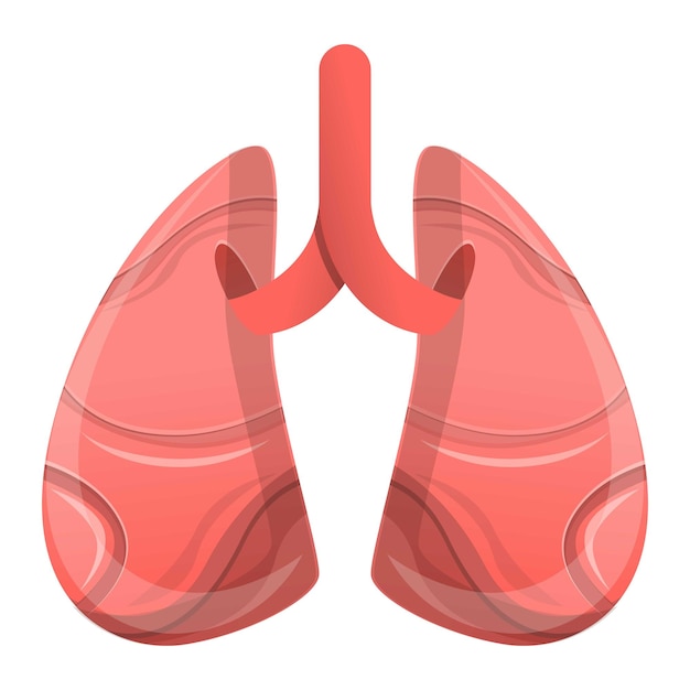 Menselijke longen pictogram Cartoon van menselijke longen vector pictogram voor webdesign geïsoleerd op een witte achtergrond