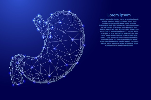 Menselijke maag, een anatomisch spijsverteringsorgaan van futuristische veelhoekige blauwe lijnen en gloeiende sterren