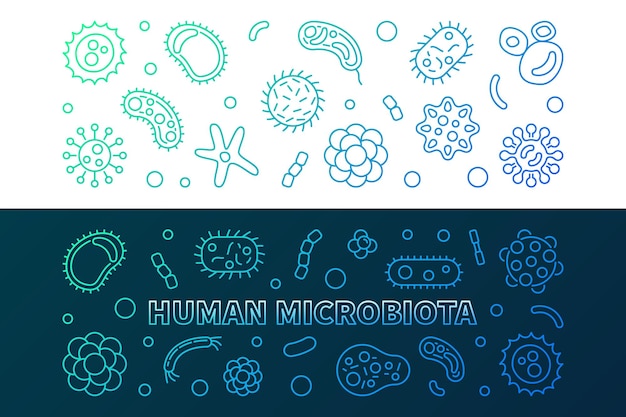 Menselijke microbiota kleurrijke banners Lineaire vectorillustratie