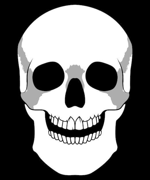 Menselijke schedel gezicht vector