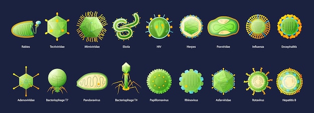 Menselijke virussamenstelling met geïsoleerd beeld van pandoravirusbacteriën vectorillustratie