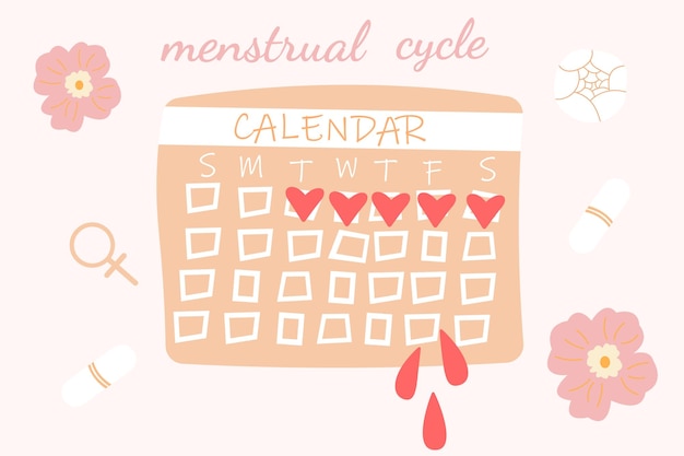 Vector menstrual calendar for menstruation control and pregnancy planning period schedule with marked days for woman and girl women cycle and pms tracker